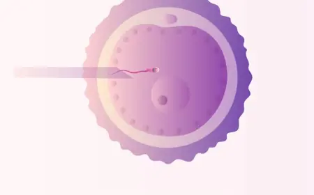 IVF Hospital in Jalandhar Offering Complete Infertility Care