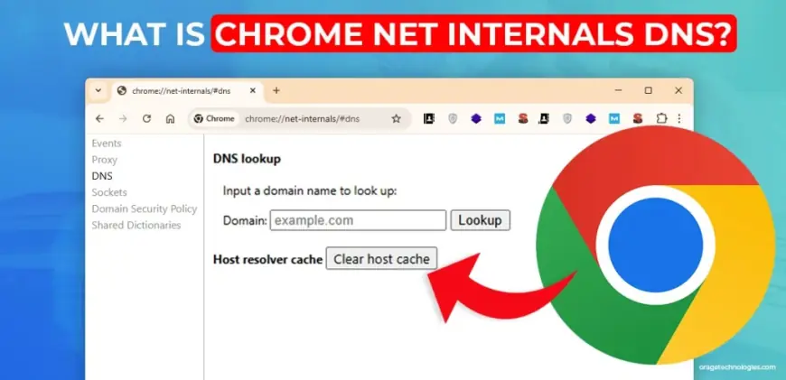 Chrome Net Internals DNS: Your 2025 Guide to Fixing DNS with Chrome