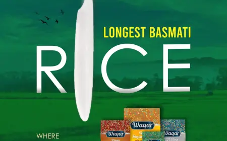 Top 5 Rice Exporters in Pakistan: A Glimpse into Global Grain Excellence