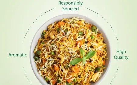 Top 10 Rice Mills in Punjab Pakistan – The Pride of Premium Grain Exports