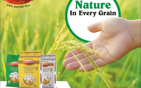 The Top Basmati Rice In World for Its Rich Flavour And Aroma