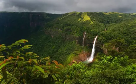 A Journey Through Assam & Meghalaya: Shillong Guwahati Tour Tips