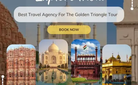 Best Travel Agency for the Golden Triangle Tour