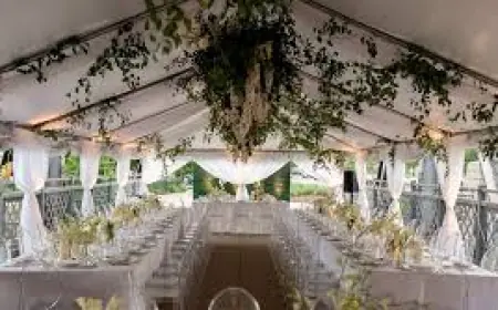 Ultimate Guide to Party Tableware and Chair and Table Rentals in Denver