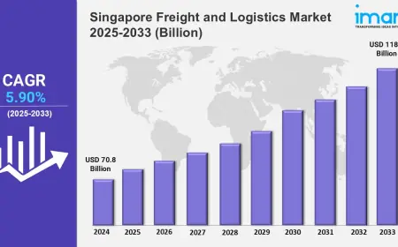 Singapore Freight and Logistics Market Share 2025-2033, Size,  Growth, Key Players, and Report
