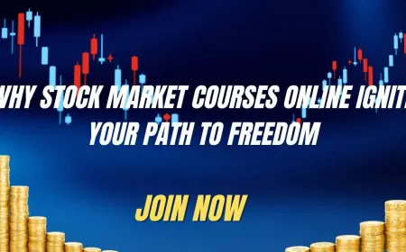 Why Stock Market Courses Online Ignite Your Path to Freedom