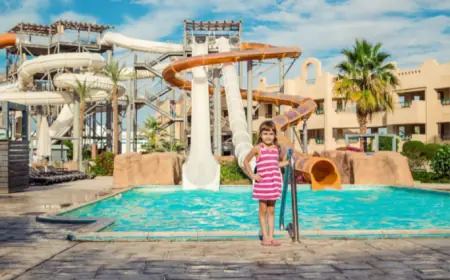 Leading the Fun: Why Oasis Water Playgrounds is a Top Splash Pad Supplier