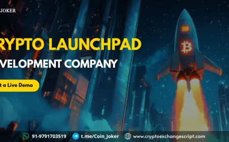 A Deep Dive into Crypto Launchpad Development for the Web3 Fundraising