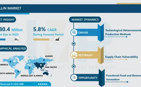 Vanillin Market  Is Growing At A Healthy CAGR Of 5.8% Forecast Period Of 2024-2032 