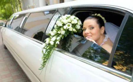 Wedding Transportation Service in Schaumburg