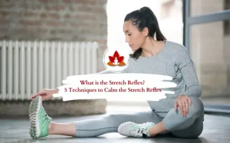 Understanding the Stretching Reflex: How the Body Protects and Balances Itself