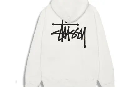 Stüssy and Stüssy Pull: Streetwear Power and Cultural Pull