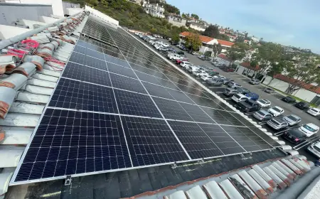 Powering Productivity: Why Your Commercial Facility Needs Solar