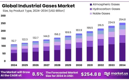 Industrial Gases Market Research | Future Outlook & Insights