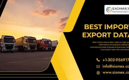 How to Identify Trusted Import Export Data Providers.