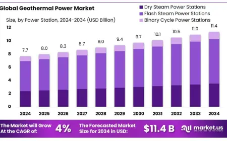 Geothermal Power Market Forecast by Capacity and Region
