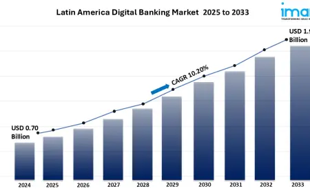 Latin America Digital Banking Market Outlook 2025-2033