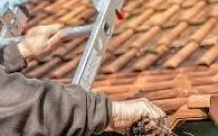 Gutter Cleaning Caulfield—The Complete 2025 Guide