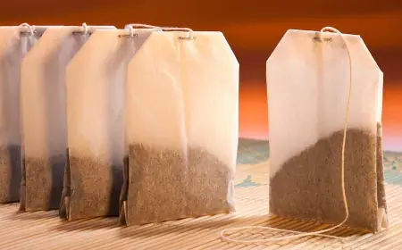 Report on Cost Requirements for Setting Up a Tea Bag (Various Blend) Manufacturing Plant
