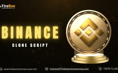 The Complete Entrepreneurial Guide to Binance Clone Script Development