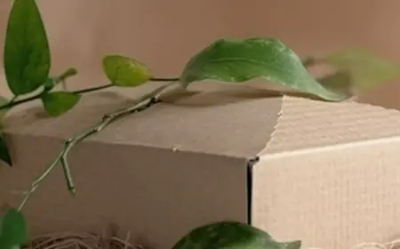 The Role of Recycled Materials in Sustainable Corrugated Packaging