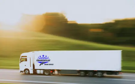 Looking for Movers in Ontario?