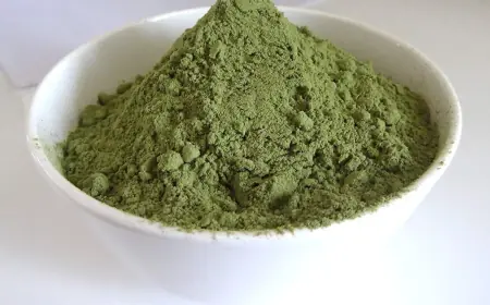 Mint Powder Manufacturing Plant Project Report 2025: Machinery, Raw Materials, and Investment Opportunities