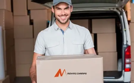 How to Safely Pack Fragile Items for Your Man With A Van Sydney Move