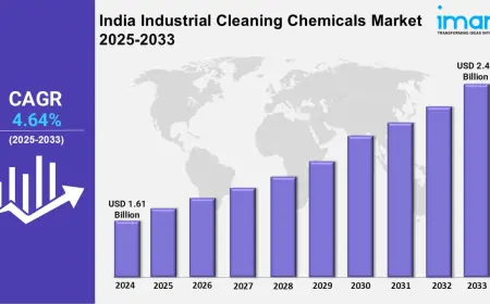 India Industrial Cleaning Chemicals Market Report: Size, Share, Trends and Forecast 2025-2033