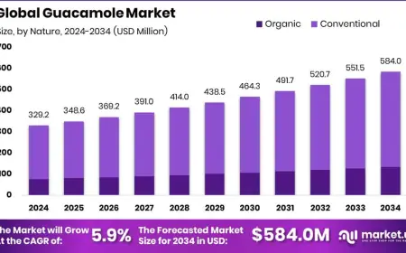 Guacamole Market Overview: Demand, Supply, and Pricing