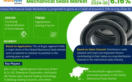 Mechanical Seals Market Research 2024–2030: Growth, Size & Opportunities