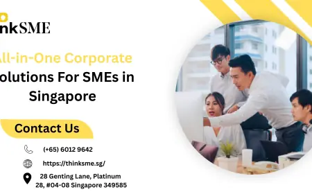 Xero Accounting Software: Pros and Cons for SMEs in Singapore