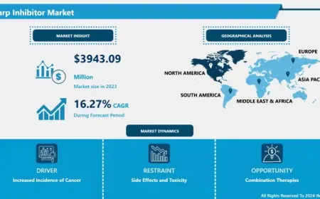 Parp Inhibitor Market: Global Industry Trends, Share, Size, Growth, Opportunity And Forecast 2024-2032