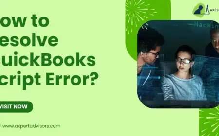 Guide to Troubleshoot Script Error in QuickBooks Desktop