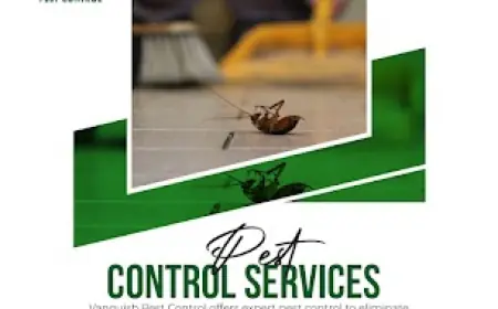 Comprehensive Pest Control Services by Vanquish Pest Control