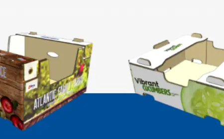 Digital Printing Packaging: Revolutionizing the Packaging Industry