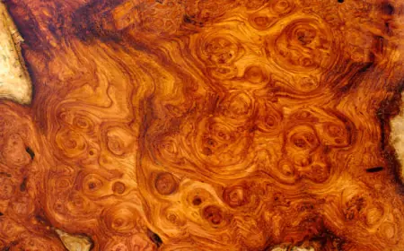 Top Reasons Homeowners Choose Ipe Wood Decking