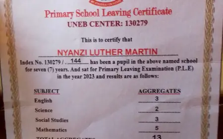 Meet Nyanzi Martin Luther: The 15-Year-Old Media Mogul Redefining Uganda's Entertainment Industry*