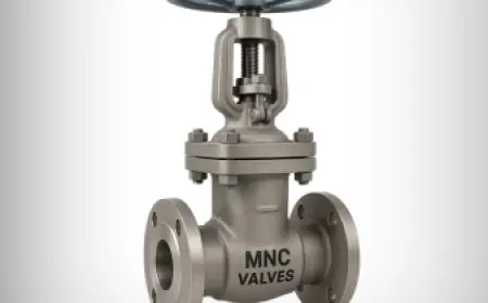 Comparing Top Gate Valve Suppliers in India: What You Should Know