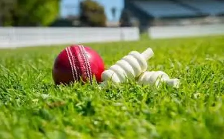 Step Into the Game: How a Cricket ID Enhances Your Online Experience