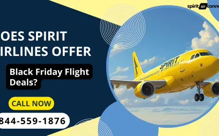 Does Spirit Airlines Offer Black Friday Flight Deals?