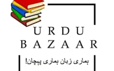 Everything You Need to Know About Office Supplies: A Complete Guide