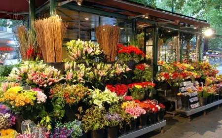 Pick Professionals at Flowers Mart to Get the Best Flower Bouquet