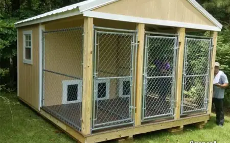 Dog Kennels for Sale in Georgia Comfort Security and Customization
