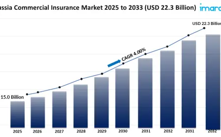 Russia Commercial Insurance Market Size, Share, Growth, Trends, Report 2025-2033
