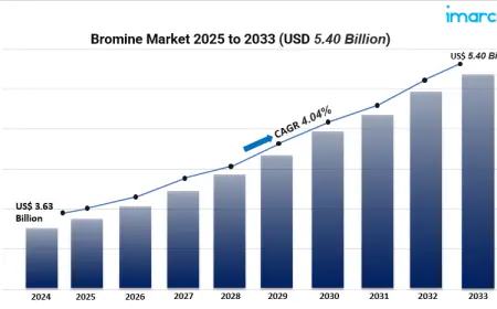 Bromine Market Forecast to 2033: Growth Opportunities Across Asia Pacific & Key Sectors