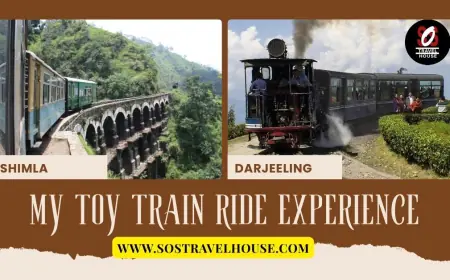 Looking to Discover Darjeeling? Top Trips Under 10000 INR