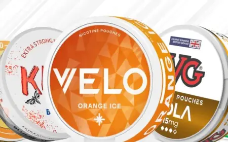 Buy Nicotine Pouches Online in the UK – Smoke-Free Nicotine Satisfaction