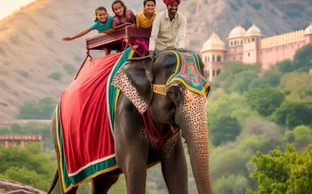 What to Expect from Your Amer Elephant Safari Adventure in Jaipur
