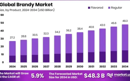 Brandy Market: Future Trends & Forecast Insights